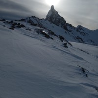 [Concours Photo Sophie 2024] La tête de Toillies 