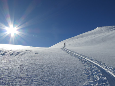 [Concours Photo Sophie 2024]Solitude à Emy