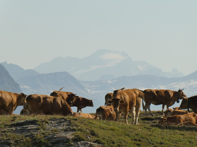 [Concours Photo Sophie 2024]Face au Gran Paradiso
