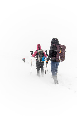 [Concours Photo Sophie 2024] Droit dans la tempête !