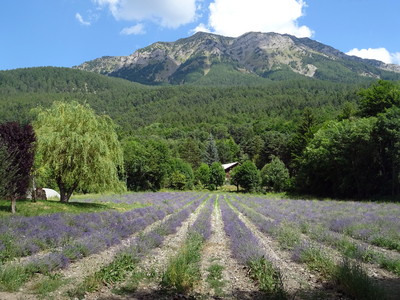 Dormillouse vu du col Saint-Jean Dormillouse vu du col Saint-Jean