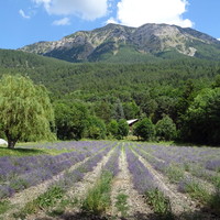 Dormillouse vu du col Saint-Jean