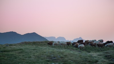 [Concours Photo Sophie 2024] Les couleurs du couchant