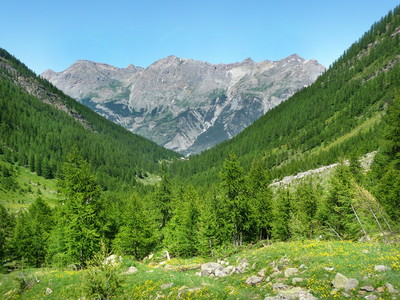 Cîme de la Condamine, Tête des Lauzières, Pic de Montbrison, vus du vallon de Narreyroux