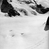 Barre des Ecrins, Glacier Blanc, années 30 par Georges Vernet