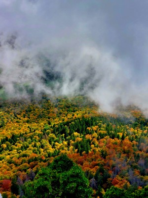 [Concours Photo Sophie 2024]Belles couleurs