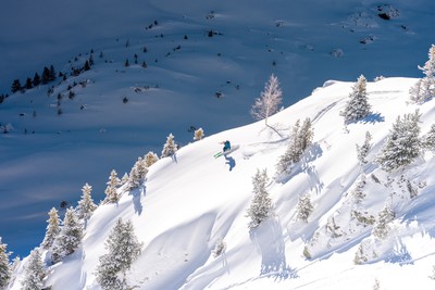 [Concours Photo Sophie 2024] - Ski entre les sapins de l'épaule du Grand Eulier