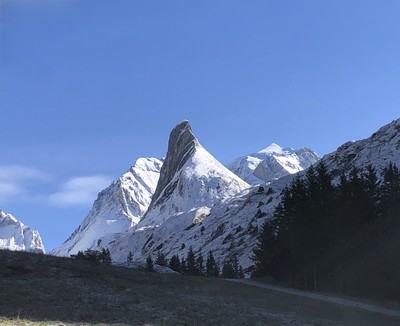[Concours Photo Sophie 2024]Vallon de la Glière et Aiguille de la Vanoise