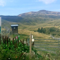 Plomb du Cantal sur la commune d' Albepierre-Bredons