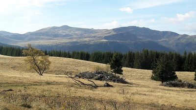 Le massif du Plomb du Cantal depuis la Haute-Planèze Le massif du Plomb du Cantal depuis la Haute-Planèze