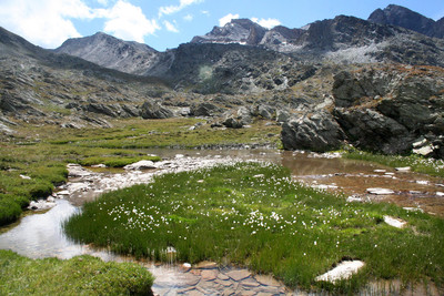 L'Ubaye à son arrivée au lac de Longet