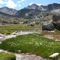 L'Ubaye à son arrivée au lac de Longet