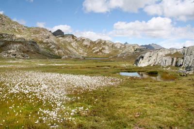 Le bout de la vallée de l'Ubaye
