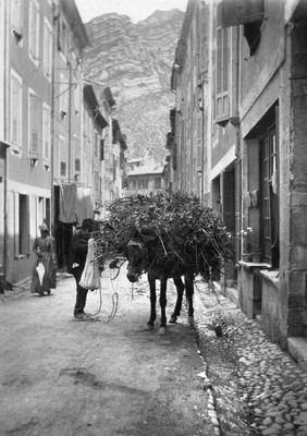 Sisteron Grand Rue en 1894 par Paul Lancrenon Sisteron Grand Rue en 1894 par Paul Lancrenon