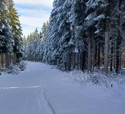 Piste de ski de fond 