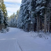 Piste de ski de fond 