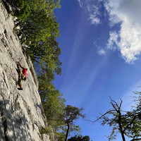 Renato dans Woodfordii