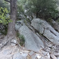 L'accès à partir de la rive gauche du ruisseau