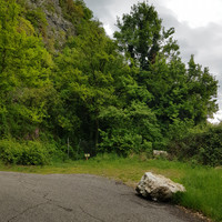 L'emplacement de parking
