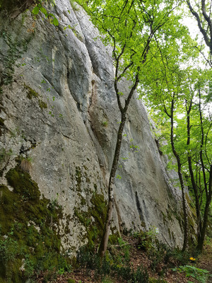 Le secteur 1