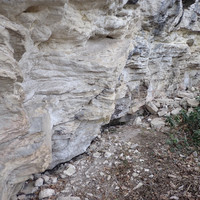 Barre de la chauve-souris