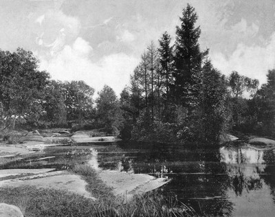 Fontainebleau, la Mare aux Pigeons en 1900 par Neurdein