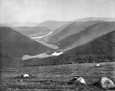 Vallée de la Vologne vue du col de la Schlucht par Neurdein