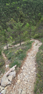 Epingles finales de la descente en option Epingles finales de la descente en option
