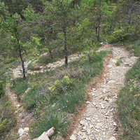 Epingles finales de la descente en option