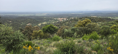 Vilamaniscle, du Coll de la Serra