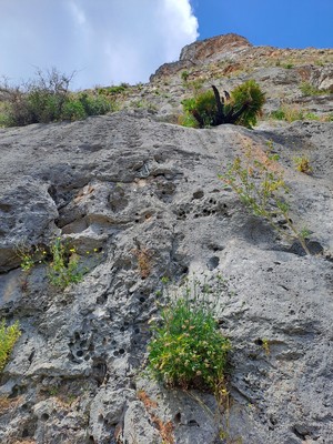 Attaque vue depuis le pied de voie Attaque vue depuis le pied de voie
