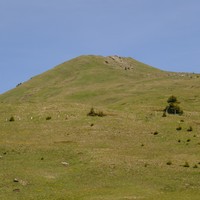 A l'appproche du sommet