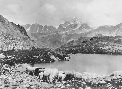 Grand Combin vu des environs du Grand Saint Bernard par Vittorio Sella Grand Combin vu des environs du Grand Saint Bernard par Vittorio Sella