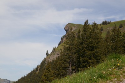 Sommet vu de l'E depuis l'alpage à 1830m Sommet vu de l'E depuis l'alpage à 1830m