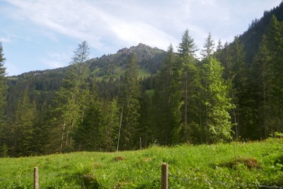 Sommet vu de Staldewald Sommet vu de Staldewald