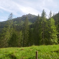 Sommet vu de Staldewald
