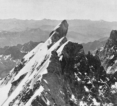 La Meije: pic central par Vittorio Sella La Meije: pic central par Vittorio Sella