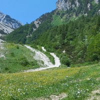 Spodnji plot