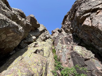Dans la montée Dans la montée