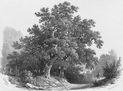 Randonnée par françois Diday Randonnée par françois Diday