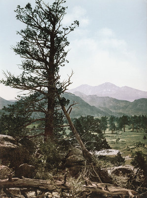 Ypsilon Mountain vue de Estes Park, par Detroit Publishing Co N°0000053104 Ypsilon Mountain vue de Estes Park, par Detroit Publishing Co N°0000053104