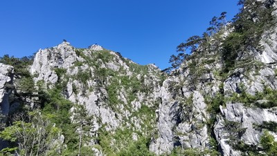 Gorges de la Tasna (Cheile Țășnei), en Roumanie