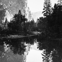 Vallée du Yosemite par Carleton Watkins