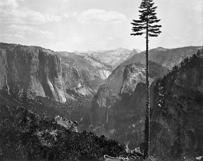 Vallée du Yosemite par Carleton Watkins Vallée du Yosemite par Carleton Watkins