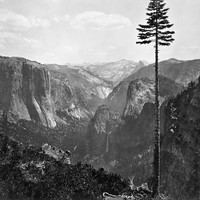 Vallée du Yosemite par Carleton Watkins