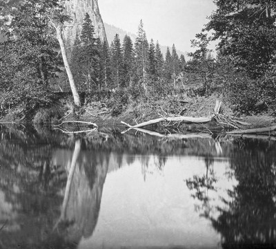 Vallée du Yosemite par Carleton Watkins