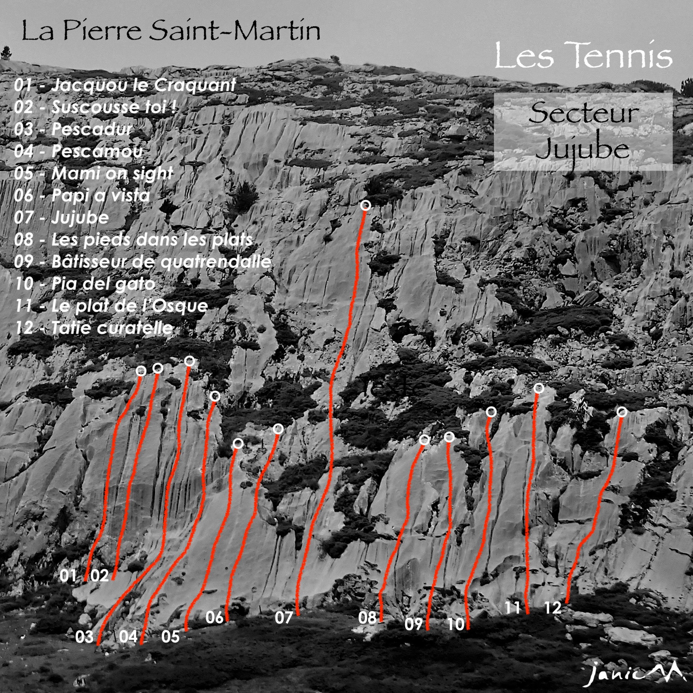 Les Tennis - Secteur Jujube - Les lignes