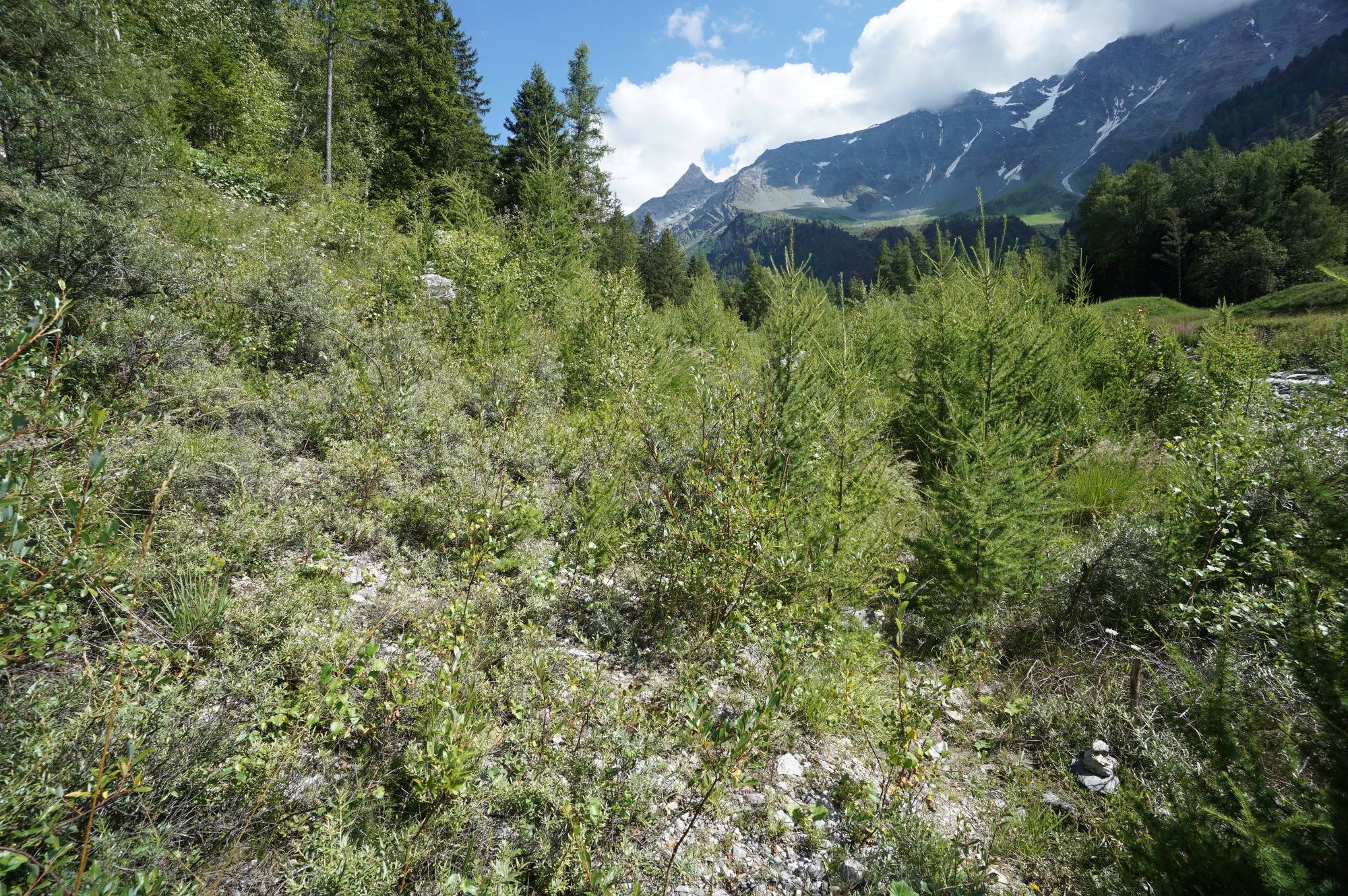 Point où on quitte le sentier à gauche avec le cairn à droite en bas.