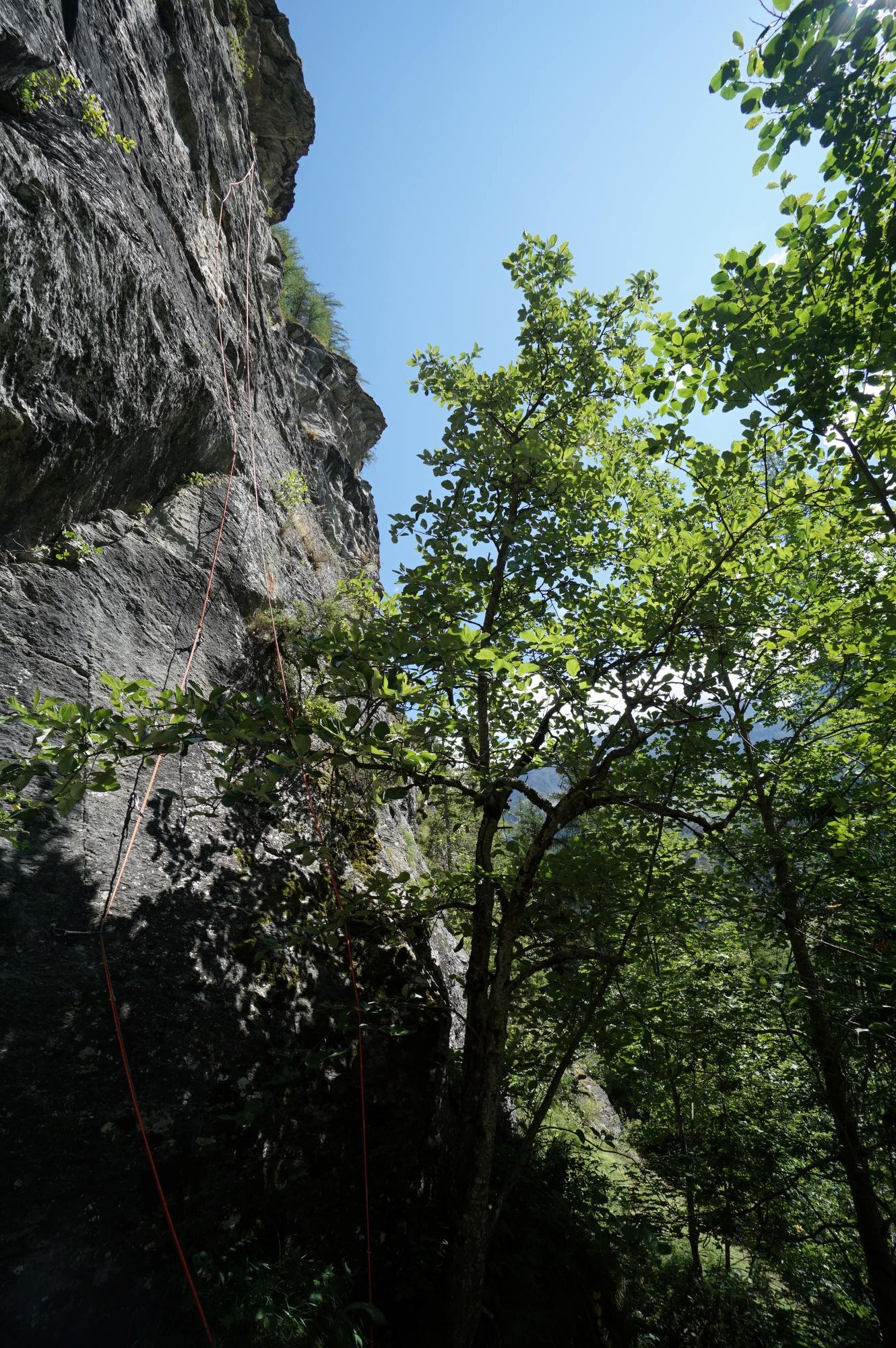 La voie <<Touchez pas au roc fort>>, 6b+