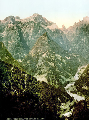 Vallée Metade, Madeira,  en 1900 par Photoglob N°0000016045